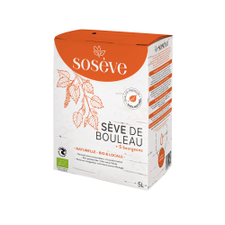 Sève de bouleau 2026 BIO  -...