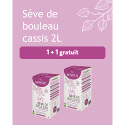 copy of Promo 1+1 gratuite...