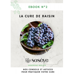 Ebook : La cure de raisin