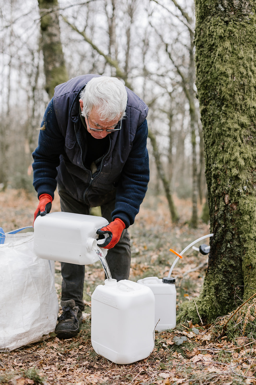 Récoltant de sève de bouleau